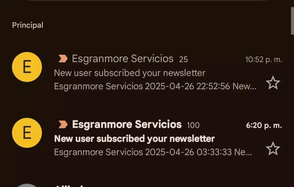 Hablemos del correo masivo, Newsletter