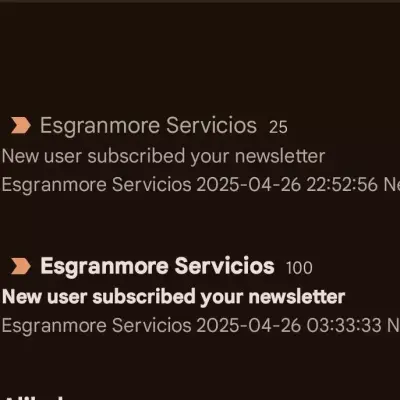 Hablemos del correo masivo, Newsletter